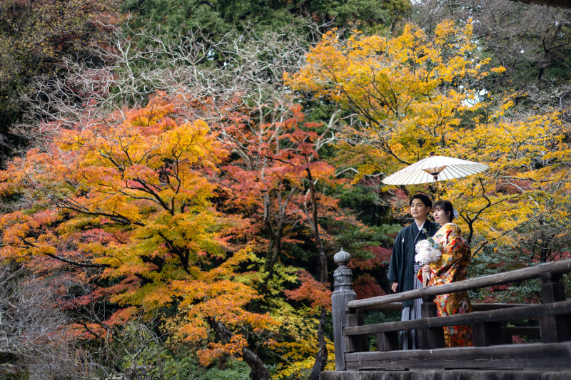 色づく景色とともに