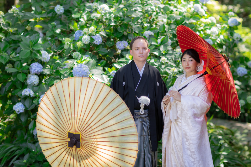 紫陽花とともに