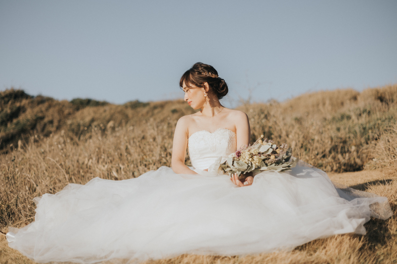 壮大な草原の上で。