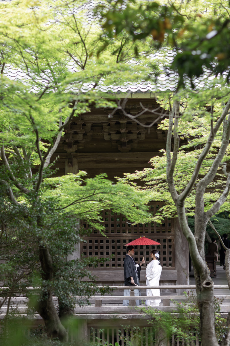 妙本寺でのおすすめショット
