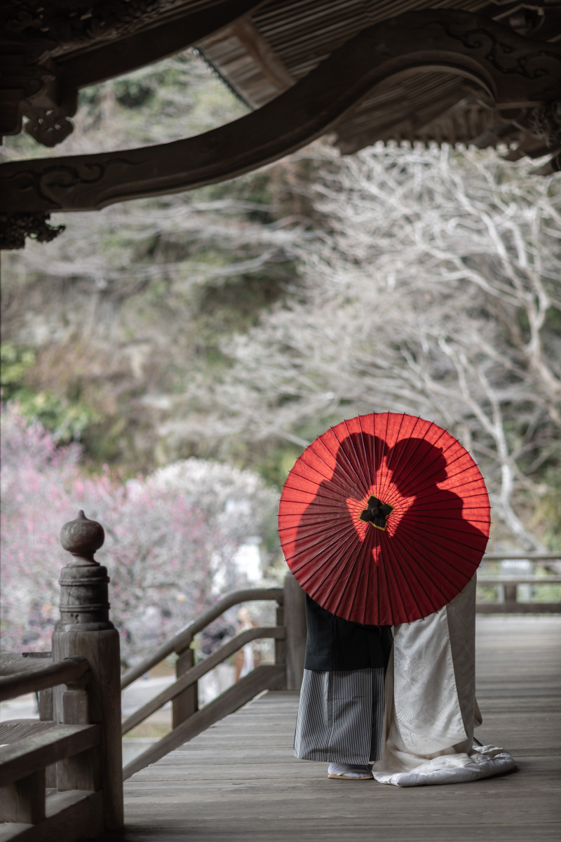 シルエットショット