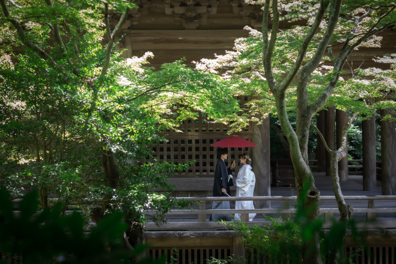 妙本寺でのおすすめショット