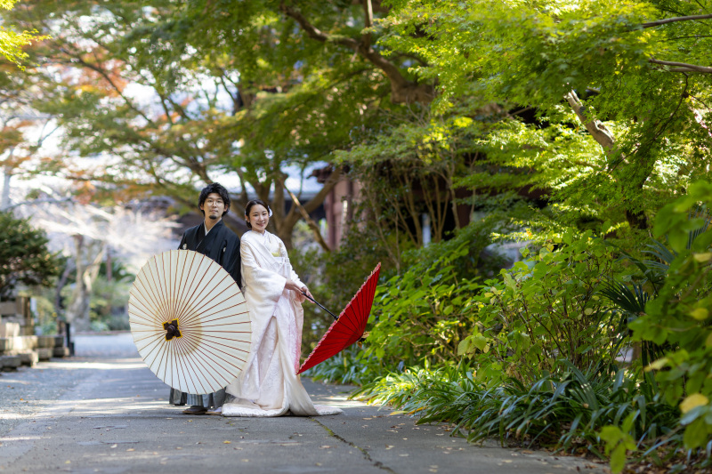 色付き始めの緑