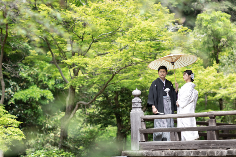 春の新緑に包まれる妙本寺