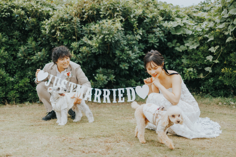 diar wedding_ペットと一緒に撮影できる