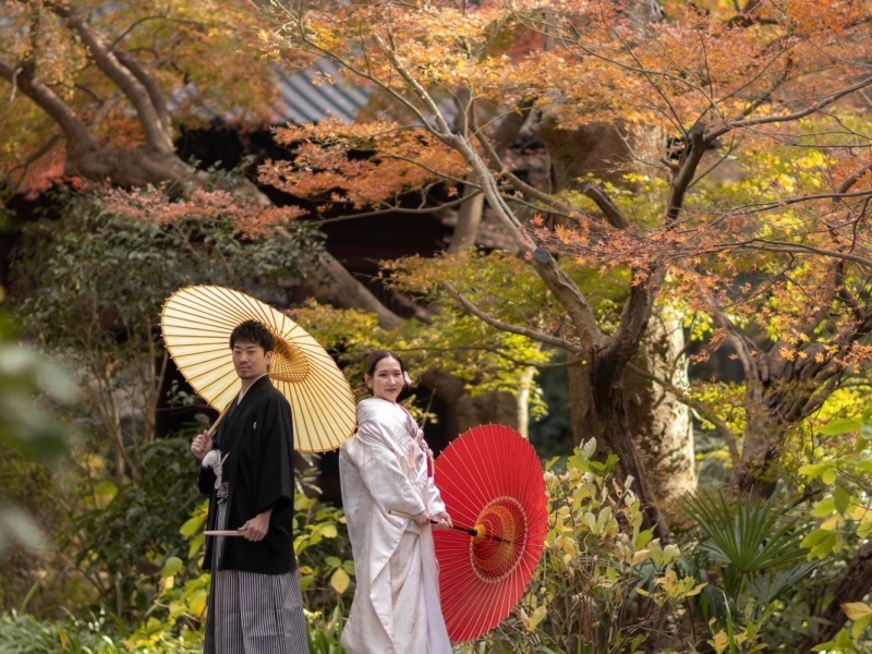 diar wedding　_神社・寺院で撮影できる