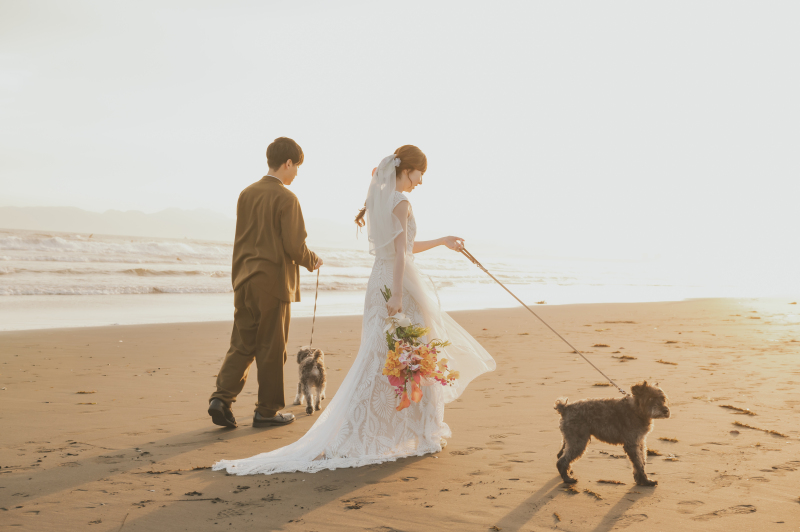 diar wedding_ペットと一緒に撮影できる