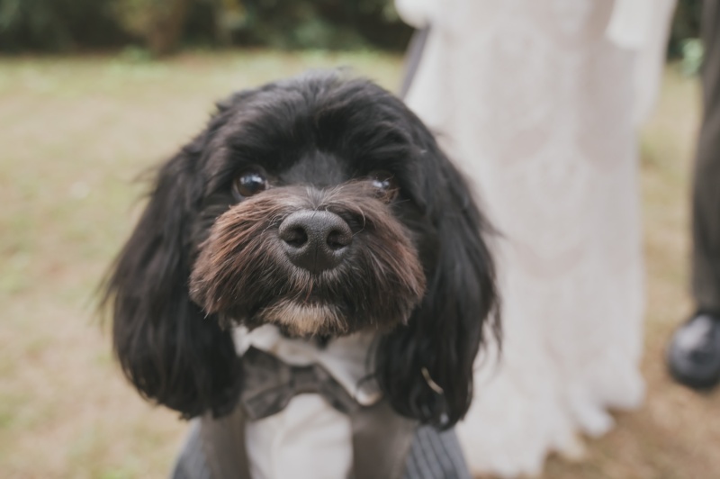 たいせつな家族と一緒に