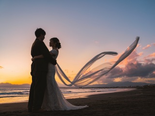 【動画】データ(ファイル便)