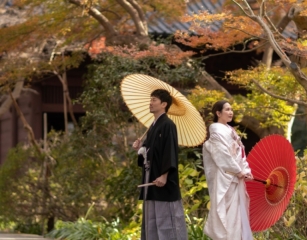 diar wedding　_＼＼ おすすめピックアップ ／／