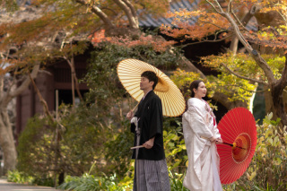 diar wedding _\\ おすすめピックアップ //