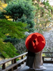 diar wedding　_【鎌倉寺院】和装ロケーション