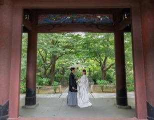 diar wedding　_＼＼ おすすめピックアップ ／／