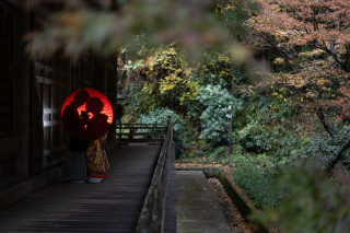 diar wedding _【鎌倉寺院】和装ロケーション