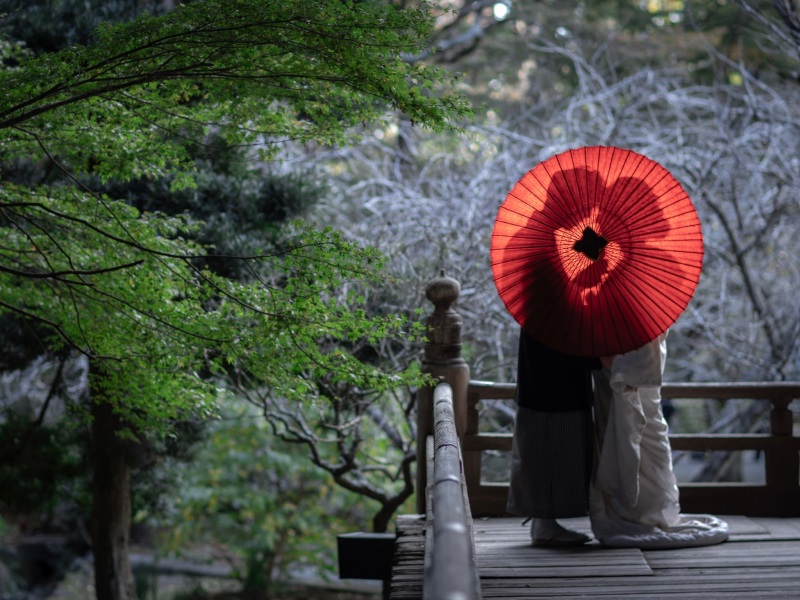 diar wedding　_神社・寺院で撮影できる