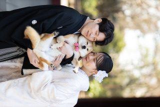 diar wedding　_＼＼ おすすめピックアップ ／／