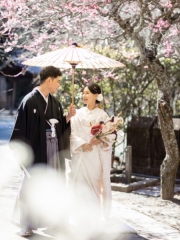 diar wedding　_＼＼ おすすめピックアップ ／／