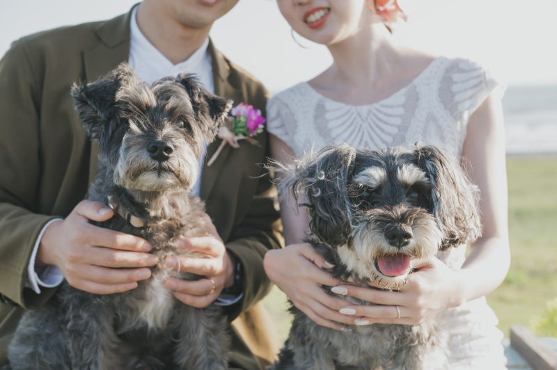 《愛犬とお散歩しながらフォトウェディング》*海×緑* 【江ノ島ロケーションフォト】洋装×ロケ|写真データ・ヘアメイク・衣装全て込
