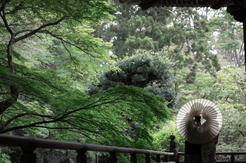 ▮▮春キャン早割り▮▮鎌倉和装3・4・5月撮影 //撮影の2カ月以上前ご予約で// 通常価格￥187,000&rarr; ￥154,000