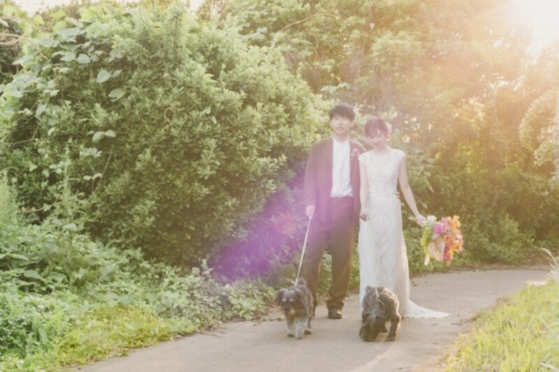 《愛犬とお散歩しながら片瀬海岸周遊撮影》*海&times;緑*　【江ノ島ロケーションフォト】