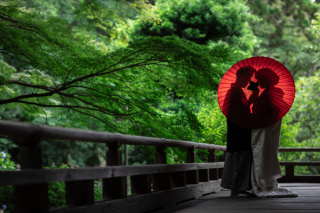 <四季折々の自然を堪能>新郎新婦お着物一式〜撮影小物まで全てがプランに含まれております。2着目掛け替え¥5,500