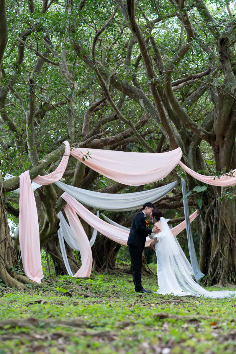 壮大ながガジュマルに装飾をして