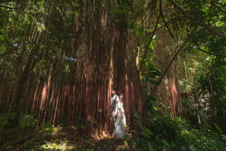 ダイナミックな石垣島自然の中