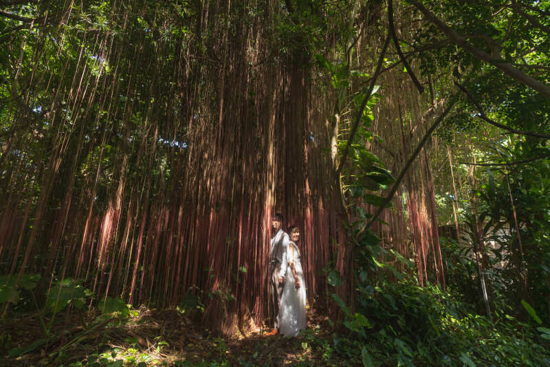 ダイナミックな石垣島自然の中