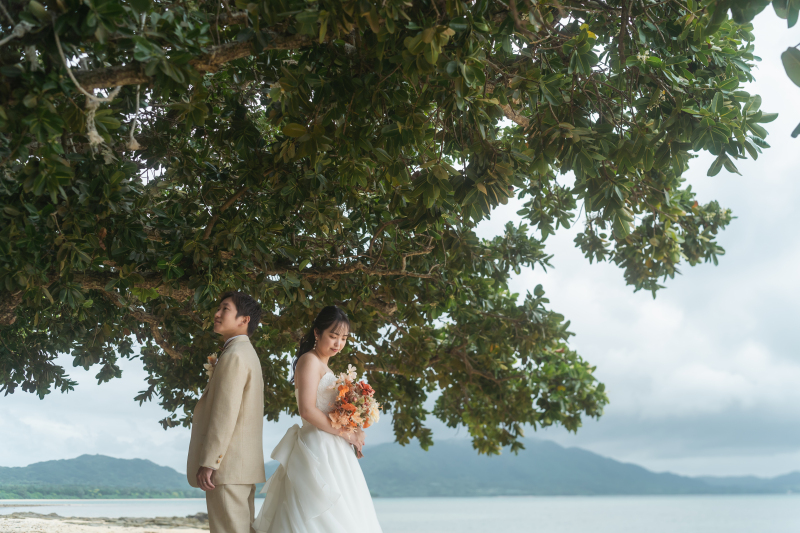 ビーチ沿いの大きな木の下で