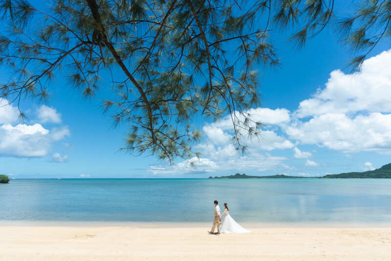 海を眺めながらお散歩ショット