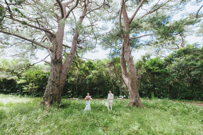 壮大な木の下で