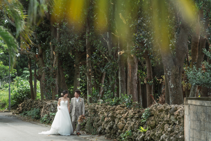 石垣島らしい集落内・・石垣と木々をバックに・・