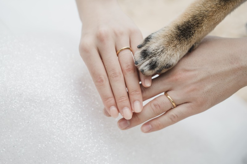 lilly wedding_家族・友人を撮影に呼べる