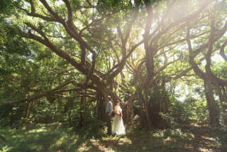 lilly wedding_ビーチ&グリーン