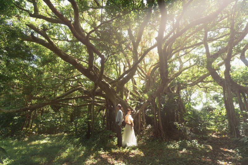 lilly wedding_事前来店なしで撮影できる