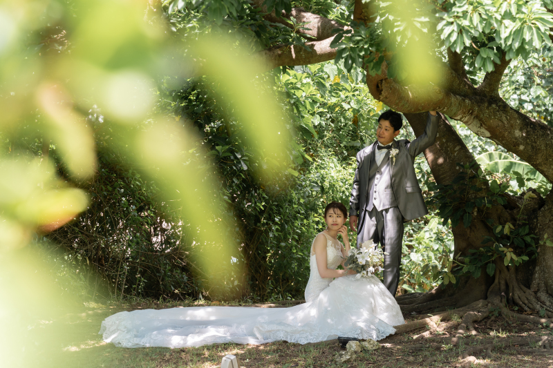 大きな木の木陰で・・