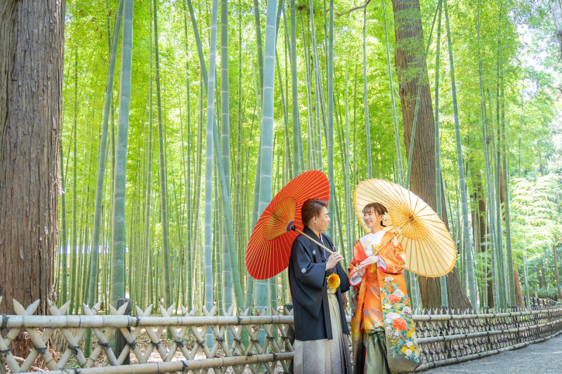 竹林で番傘撮影