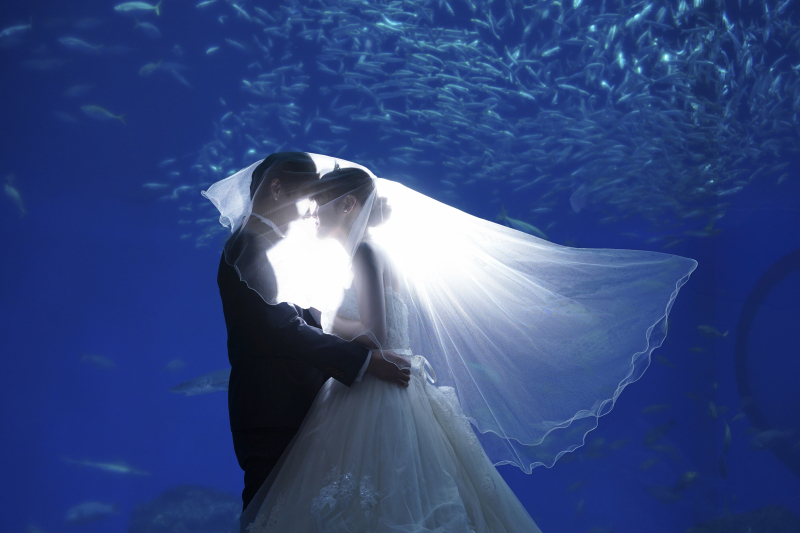 ベールの中、ふたりきり