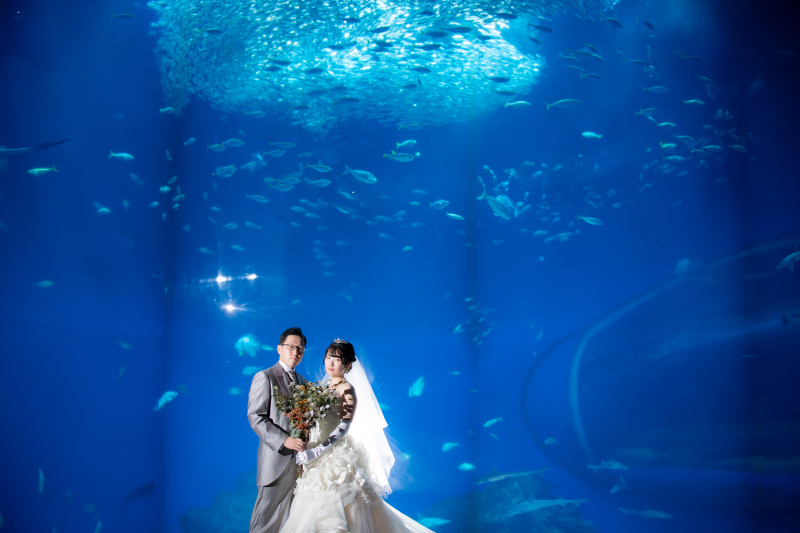 大迫力の大水槽