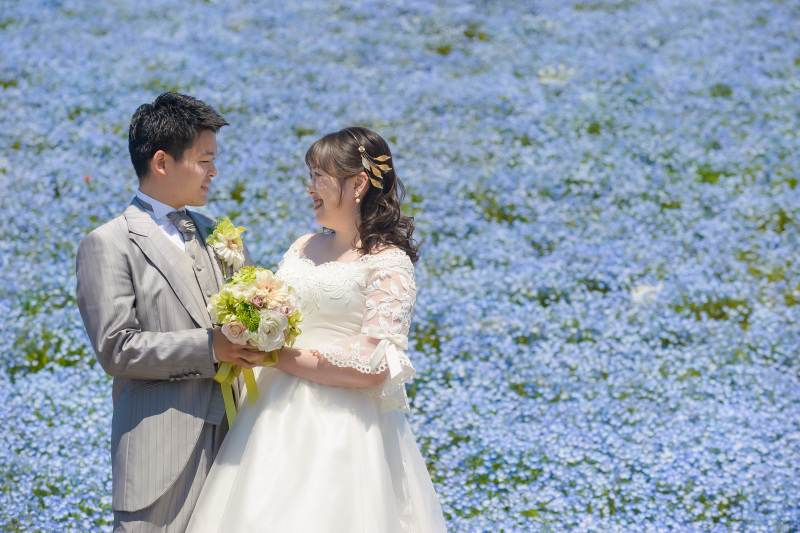 一面の青に包まれて