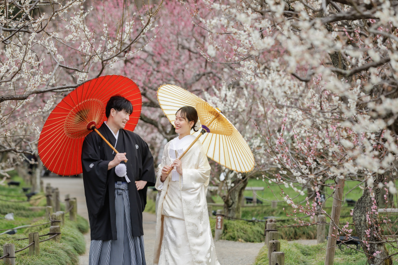 梅彩る番傘のひととき