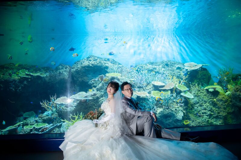 きらめく魚と二人