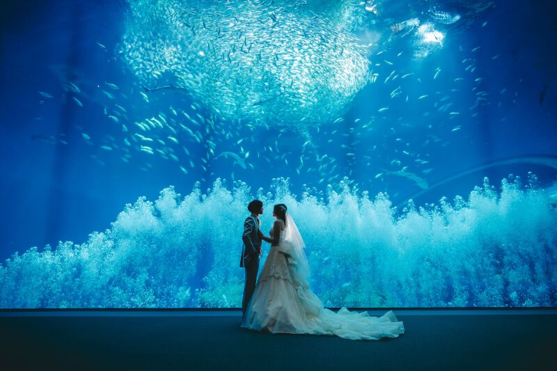 水族館ロケ＆神社挙式