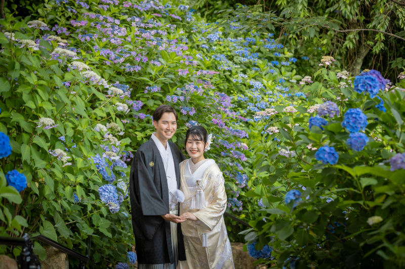 紫陽花に包まれて