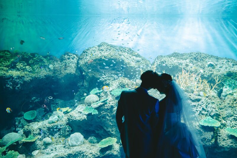 お疲れさまでした＾＾