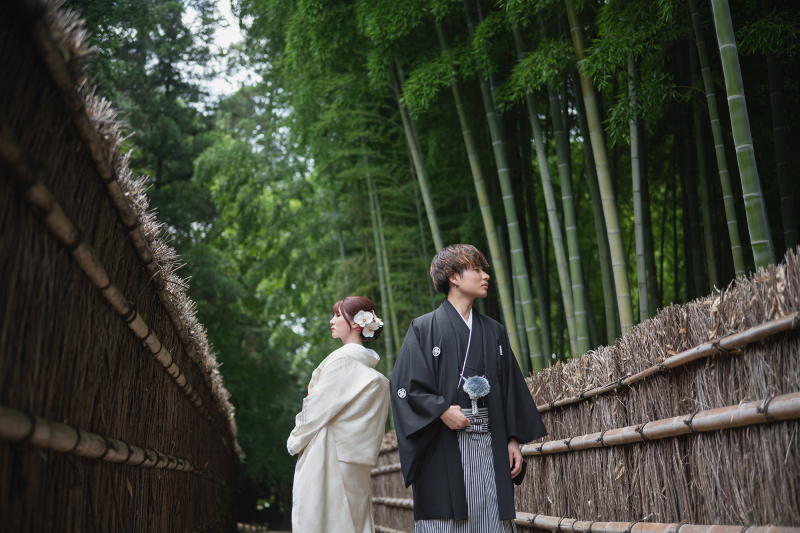 竹林の凛とした美しさ