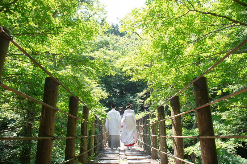 緑深まる吊り橋を二人で歩む後ろ姿