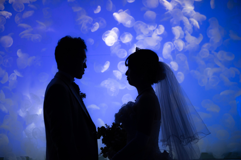 幻想のクラゲシルエット