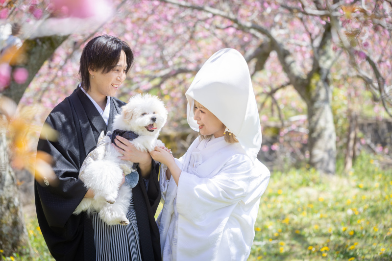 満開の桜に包まれて