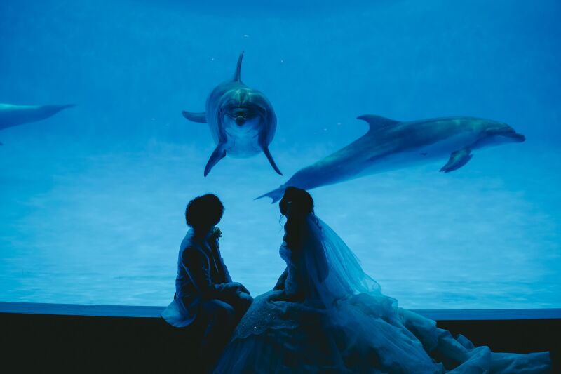 大洗アクアワールドでの撮影